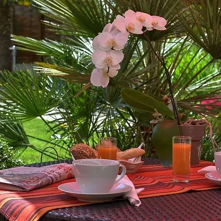 Cap D'ail Hotel 3*